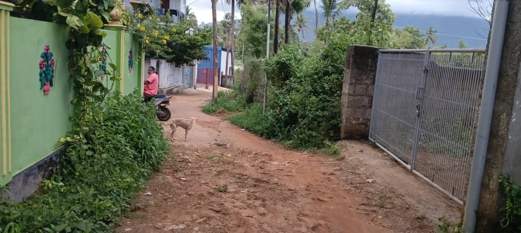 வில்லுக்குறியில் மாயமான பொதுக்கிணறு: ஆக்கிரமிப்பின் பின்னணி என்ன?
1948 முதல் மக்களுக்கு சேவை செய்த கிணறு இன்று எங்கே?
கிராம மக்களின் குடிநீர் ஆதாரம் ஆக்கிரமிக்கப்பட்டதா?
வில்லுக்குறி பொதுக்கிணறு மீட்புக்கு சமூக பொதுநல இயக்கம் கோரிக்கை
நீர்நிலையை விழுங்கிய ஆக்கிரமிப்பு: குமரியில் பரபரப்பு