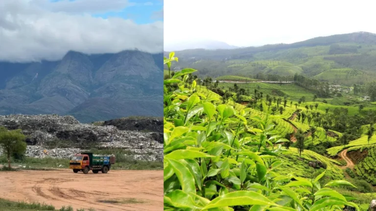 மேகமலையில் குவியும் குப்பை மலையால் சுற்றுச்சூழலுக்கு ஆபத்து – சமூக பொதுநல இயக்கம் கவலை.