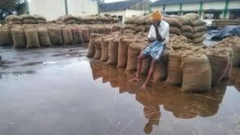 சேமிப்பு கிடங்குகள் இல்லாததால் கடந்த 5 ஆண்டுகளில் நெல் சேதமாகி ரூ 840 கோடி இழப்பு – சமூக பொதுநல இயக்கம் குற்றச்சாட்டு.