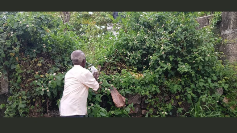 வில்லுக்குறி அருகே கிராம மக்கள் பயன்படுத்தி வந்த குடிநீர்கிணறு மாயம் – சமூக பொதுநல இயக்கம் புகார்.