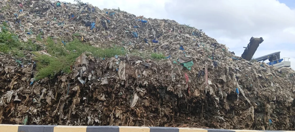 தமிழ்நாட்டின் குப்பை பிரச்னைக்கு Bio-CNG ஆலைகள் தீர்வாகுமா?
குப்பையை வளமாக்க உயிரி எரிவாயு ஆலைகள் அமைக்க வேண்டும்
அனைத்து உள்ளாட்சி பகுதிகளிலும் Bio-CNG ஆலைகள் வருமா?
குப்பைக் கழிவால் மாசுபடும் தமிழகம்: உயிரி எரிவாயு ஆலைகள்