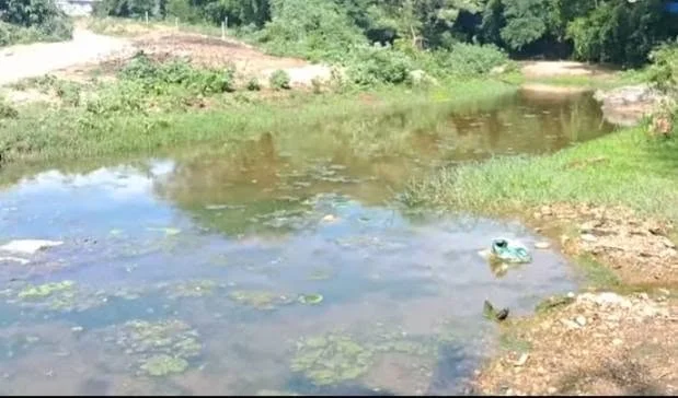 கோபனாரி மலைக்கிராமத்திற்கு பாலம் அமைக்கப்படுமா?
கோயம்புத்தூர் மலைக்கிராம மக்கள் பாலமின்றி தவிப்பு
இருளர் பழங்குடியினர் வாழும் கோபனாரிக்கு பாலம் தேவை
உயிரை பணயம் வைத்து பள்ளத்தாக்கை கடக்கும் மக்கள்
கோபனாரி மலைப்பகுதியில் பாலம் இல்லாததால் மக்கள் அவதி
