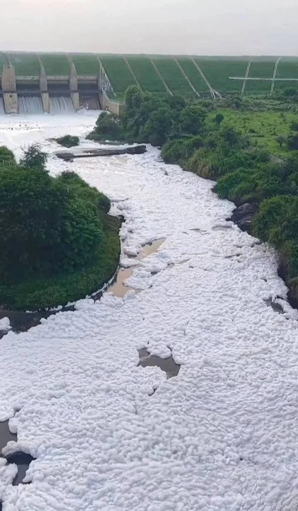 கிருஷ்ணகிரி விவசாயிகளை பாதிக்கும் கெலவரப்பள்ளி அணை மாசுபாடு
கர்நாடக தொழிற்சாலை கழிவால் பாதிக்கும் தென்பெண்ணை ஆறு
கெலவரப்பள்ளி அணை நீர் மாசுபாடு – Zero Liquid Discharge கட்டாயமா?