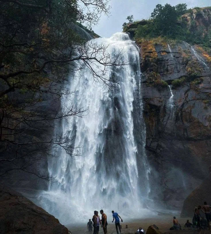 நாமக்கல் மாவட்டம் கொல்லிமலையில் உள்ள ஆகாய கங்கை அருவிக்கான ரோப்கார் திட்டம் அறிவிக்கப்பட்டும் இதுவரை செயல்பாட்டுக்கு வராததால் சுற்றுலாப் பயணிகள் ஏமாற்றமடைந்துள்ளனர். முதியோர், குழந்தைகள், மாற்றுத்திறனாளிகள் உள்ளிட்ட அனைவரும் பாதுகாப்பாக அருவியை அணுகும் வகையில் ரோப்கார் திட்டத்தையும் அடிப்படை வசதிகளையும் தமிழக அரசு விரைந்து செயல்படுத்த வேண்டும் என சமூக பொதுநல இயக்கம் வலியுறுத்தியுள்ளது.