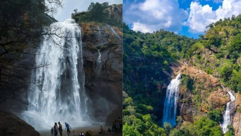 நாமக்கல்லில் அறிவிப்போடு முடங்கிய ஆகாய கங்கை ரோப்கார் திட்டம் செயல்படுவது எப்போது? சமூக பொதுநல இயக்கம் கேள்வி.