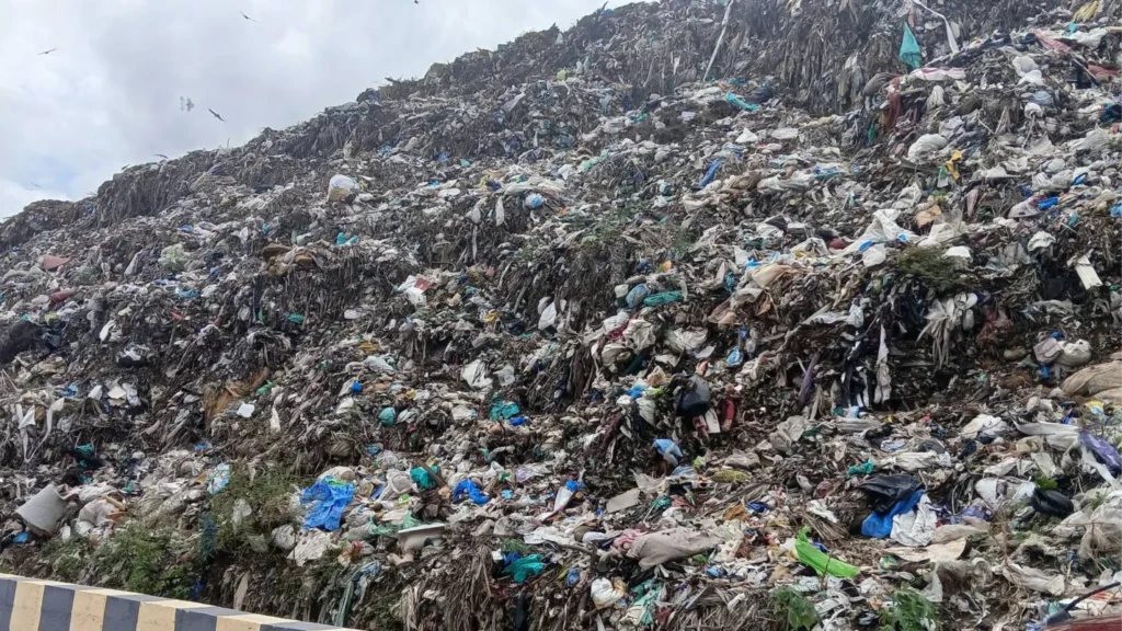 தமிழ்நாட்டில் குப்பைக் கழிவுகளை பயன்படுத்தி உயிரி எரிவாயு தயாரிக்கும் Bio-CNG ஆலைகள் அமைக்க கோரிக்கை