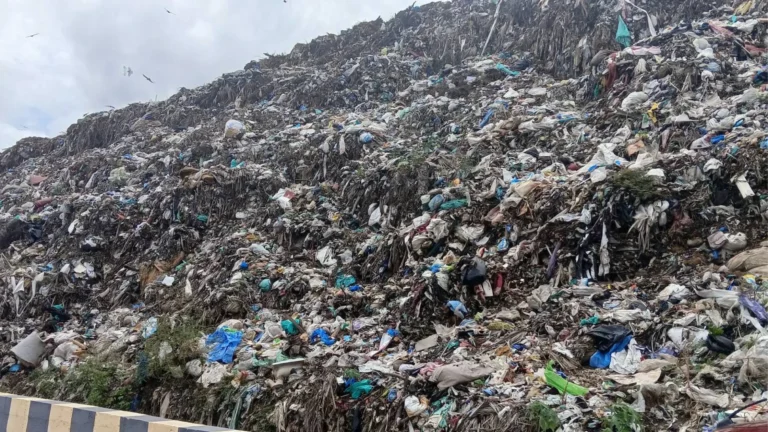 தமிழ்நாட்டில் சுற்றுச்சூழல் மாசை தடுக்க அனைத்து பகுதிகளிலும் உயிரி – எரிவாயு ஆலை அமைக்க வேண்டும் – சமூக பொதுநல இயக்கம் வலியுறுத்தல்!