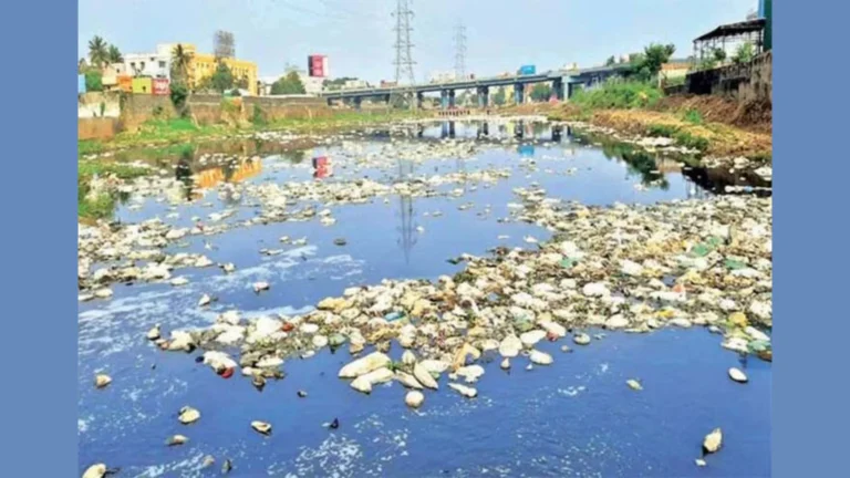 தமிழகத்தில் சுற்றுச்சூழல் படுகொலையினை தடுக்க தனிச்சட்டம் – சமூக பொதுநல இயக்கம் வலியுறுத்தல்.