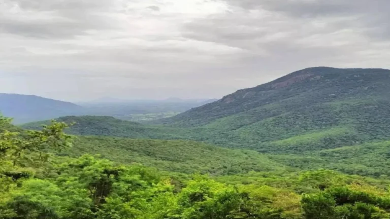 ஜவ்வாது மலைக்கு ஆபத்தான அதானியின் அல்லேரி புனல் மின்நிலையத் திட்டம் – சமூக பொதுநல இயக்கம் எதிர்ப்பு.