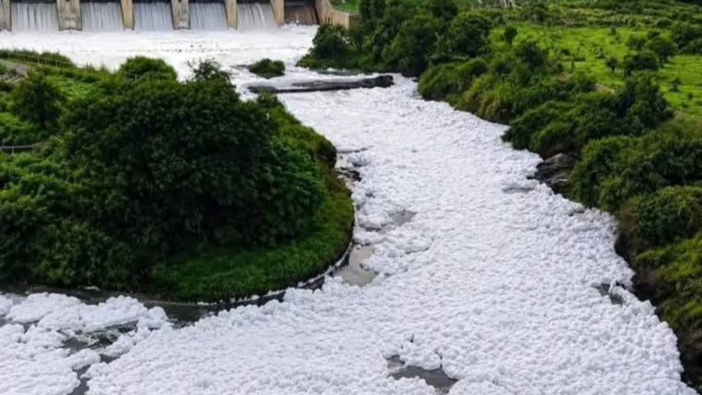 கர்நாடக கழிவுநீர் கலப்பால் மாசுபட்ட கெலவரப்பள்ளி அணை மற்றும் தென்பெண்ணை ஆறு