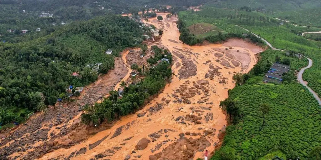 மேற்குத்தொடர்ச்சி மலை பாதுகாப்புக்கு காட்கில் குழு பரிந்துரைகள் அமலாகுமா?
வயநாடு நிலச்சரிவு: காட்கில் அறிக்கை மீண்டும் முக்கியத்துவம் பெறுகிறது
மேற்குத்தொடர்ச்சி மலையை காக்க காட்கில் அறிக்கை அவசியமா?
ESA அறிவிப்பு எப்போது? மேற்குத்தொடர்ச்சி மலை பாதுகாப்பு குறித்து கேள்வி
காட்கில் Vs கஸ்தூரிரங்கன் அறிக்கை – சுற்றுச்சூழலுக்கு எது சிறந்தது?