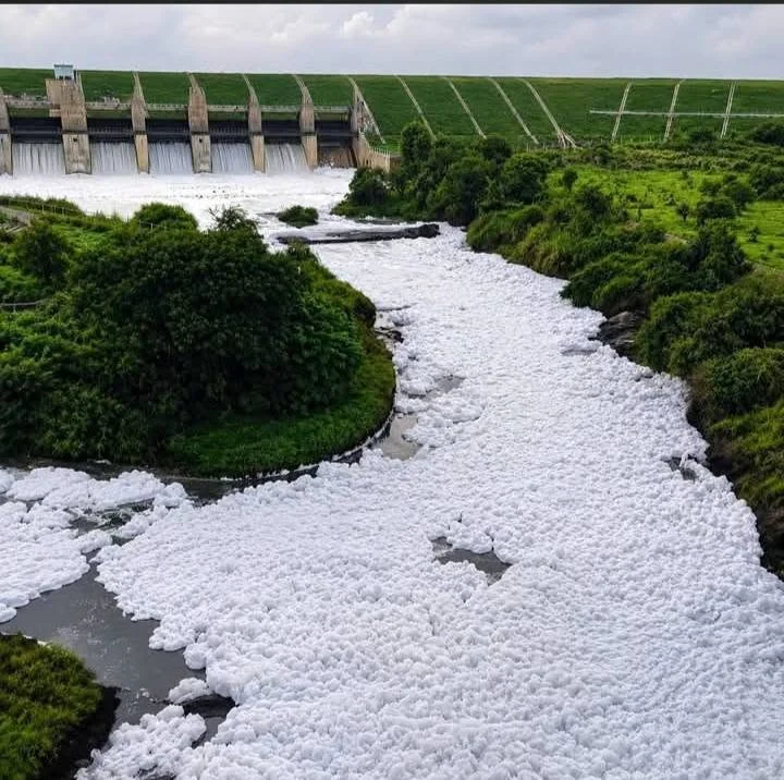 தென்பெண்ணை ஆற்றை காப்பாற்ற உடனடி நடவடிக்கை தேவை
தொழிற்சாலை கழிவுநீர்: கெலவரப்பள்ளி அணையில் வெண்நுரை ஏன்?
நீர் இருந்தும் விவசாயம் செய்ய முடியாத நிலை – கெலவரப்பள்ளி அணை
தென்பெண்ணை ஆற்றை மீட்க தமிழக அரசு நடவடிக்கை எடுக்குமா?